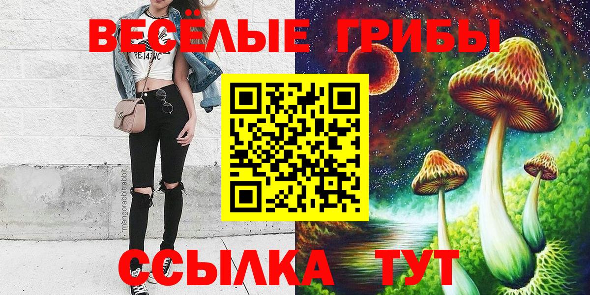 Псилоцибиновые грибы Psilocybe Волгоград